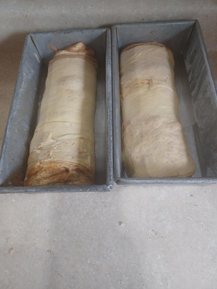 Rolled cinnamon roll dough proofing in loaf pans